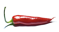 "chiliproject-logo"