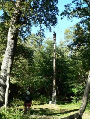 "The Pole"