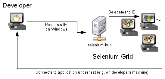 How selenium grid looks like